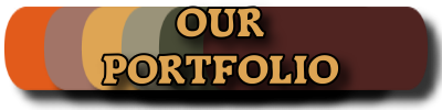 Our Portfolio