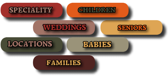 Portfolio Categories